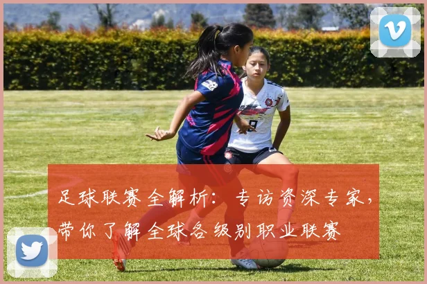 足球联赛全解析:专访资深专家,带你了解全球各级别职业联赛
