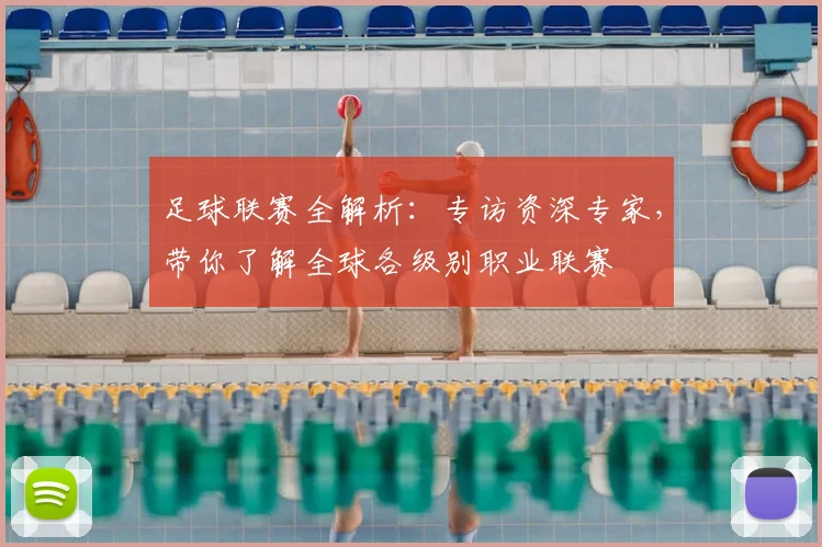足球联赛全解析:专访资深专家,带你了解全球各级别职业联赛